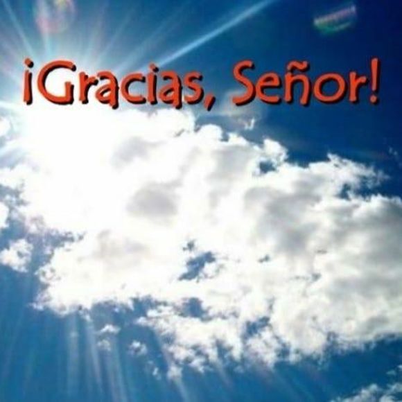 Meet your Posher, Sandra - Picture 1 of 1